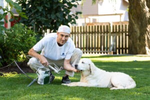 Grandview Painting photo 2